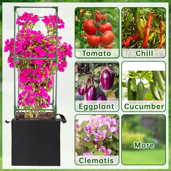 ANPHSIN 3 Sets Tomato Cages with 10 Gallon Grow Bags - 47'' Stable Plant Support Trellis Kit, Square Cages with Planter Pots for Garden Flowers Vegetables Cucumber Vertical Climbing Plants Vines