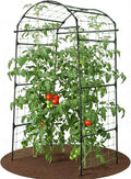 79" Garden Trellis Arch for Climbing Plants – Tall Outdoor Metal Trellis for Vegetables, Peas, Tomatoes,﻿ Cucumber Trellis Arch & Vertical Garden Climber Plant Support for Vine Plants