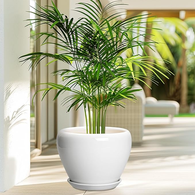 Ceramic Pot for Plants - 8 Inch Ceramic Planter for Indoor Plants, Modern Round Planter with Drainage Hole and Saucer, Plant Lover Gifts, Home Office Garden Decor, White
