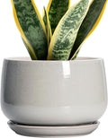 G EPGardening Ceramic Plant Pots - 7 Inch Plant Pot with Drainage and Saucer, Ceramic Planters for Indoor Outdoor Plants, Modern Round Planter, Room Decor, Gardening Gifts for Women Men, Light Grey