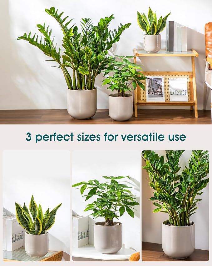 vancasso 6+8+10 inches Ceramic Plant Pots, Set of 3, Planters with Drainage Hole, Flower Pots Planters Pots for Indoor Plants, Modern Indoor Decorative Garden Pot, Home Decor, Gray