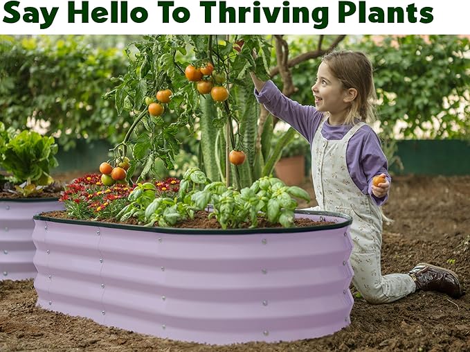 Plant & Plot Galvanized Raised Garden Beds Outdoor // 4×2×1 ft (2-Pack) Planter Raised Beds for Gardening, Vegetables, Flowers (Lavender) // Large Metal Garden Box
