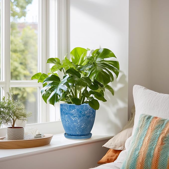 6 Inch Ceramic Plant Pot - Ceramic Planters with Drainage Hole and Saucer, Round Decorative Planter, Modern Planters for Indoor Outdoor Plants, Desk Office Decor, Housewarming Gifts, Blue