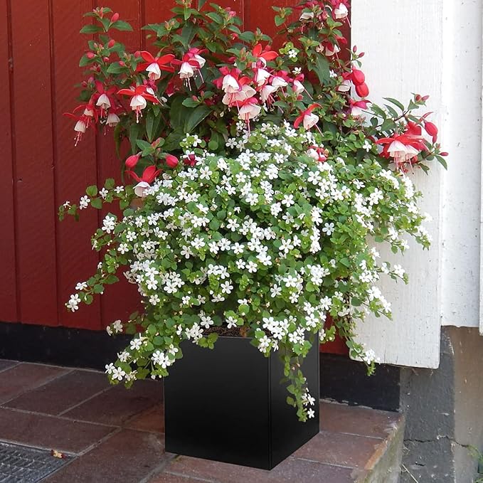 Galvanized Steel Planter Box Black Metal Planter 20Inch Large Square Indoor Outdoor Planters Cube Steel Heavy Duty Flower Pot Powder Coating Modern Commercial Residential for Patio, Deck, Yard, Garden