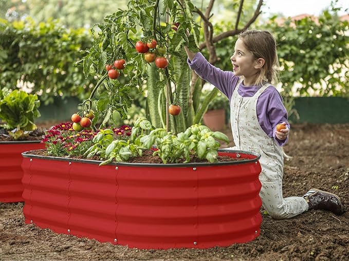 Plant & Plot Galvanized Raised Garden Beds Outdoor // 4×2×1 ft (2-Pack) Planter Raised Beds for Gardening, Vegetables, Flowers // Large Metal Garden Box (Red) // Patented Tool-Free Design