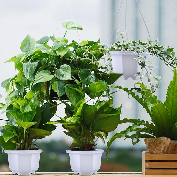 Roshtia 50 Pcs 3.7 inch Plastic Hanging Plant Pots with Hooks Flower Pots Baskets Outdoor Hanging Nursery Planter Holder for Home Garden Balcony Porch(Gray White, 3.7 inch)