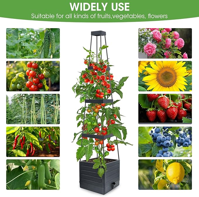 2 Pack Raised Garden Bed Planter Box with Trellis, 58” Tomato Cage Planter Raised Garden Bed with Trellis for Climbing Vegetables Plants Tomato Cage w/Self-Watering, Indoor Outdoor Use