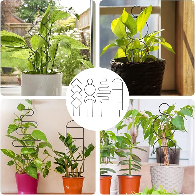 4 Pcs Mini Metal Trellis for Potted Plants, Climbing Support for Hoya Vines (Black)