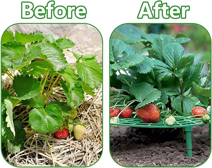 Iceyyyy 5 Pack Strawberry Plant Support - Strawberry Growing Racks with 4 Sturdy Legs - Strawberry Growing Frame Keep Berries Clean