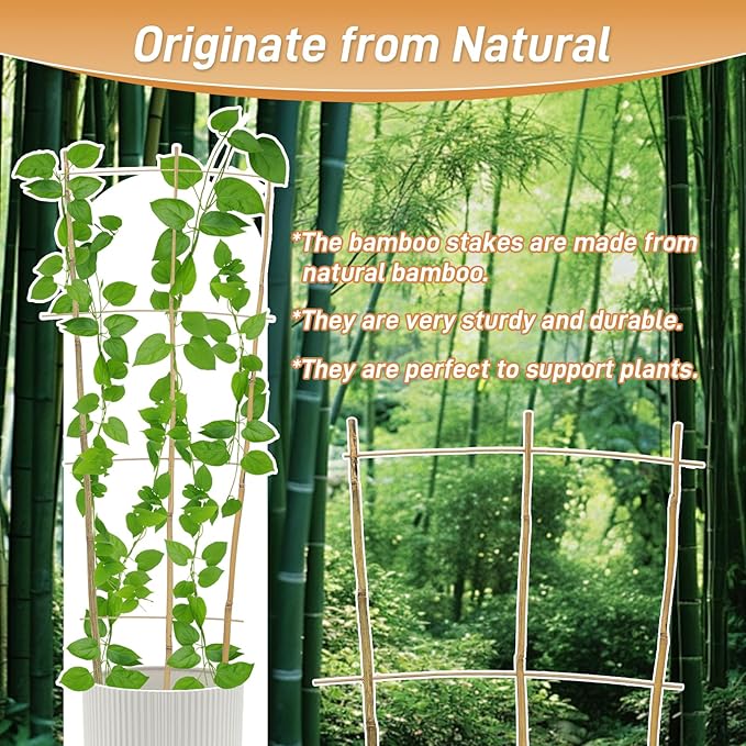 10 Pack 3ft Bamboo Trellis for Climbing Plants - Fan-Shaped Support Trellis for Potted Plant Decor in Door