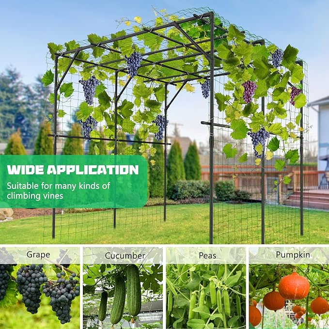 DoCred Tall Garden Arch Trellis for Climbing Plants, 79 Inch Tall Metal Plant Support Trellis Archway for Climbing Vine Vegetable/Fruit/Flower Outdoor Yard Lawn Garden Arch Tunnel Trellis