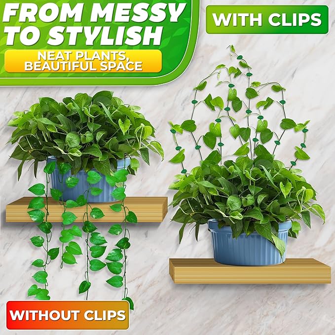 60Pcs Plant Climbing Wall Fixture Clips with 72Pcs Self-Adhesive Stickers - Leaf-Shaped and Weather-Resistant Money Plant Vine Wall Clips - Easy Installation Pothos Climbing Support for Vines & Cables