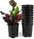 Wholesale Bulk Nursery Pot 4 Inch Black Plastic Planters 30-Pack 0.25 Gallon Pots for Outdoor Indoor Plants Gardening Flower with Drainage Holes