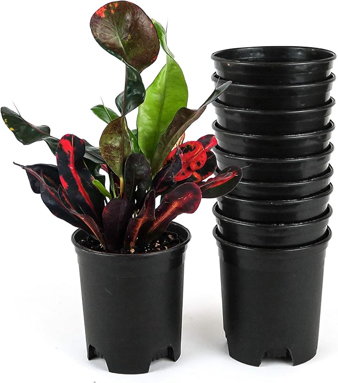 4 Inch Nursery Pot Plastic Planters for Outdoor Indoor Plants Gardening Flower Pots 10-Pack 0.25 Gallon Pot Liners with Drainage Holes