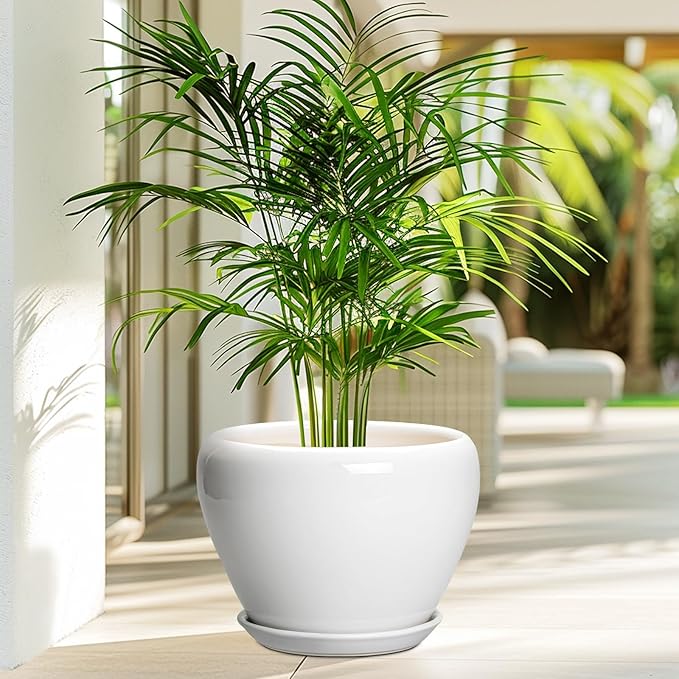 Ceramic Pot for Plants - 10 Inch Planter with Drainage Hole and Saucer, Glaze Modern Round Flower Pot for Indoor Plants, Housewarming Gift, Home Decor, White