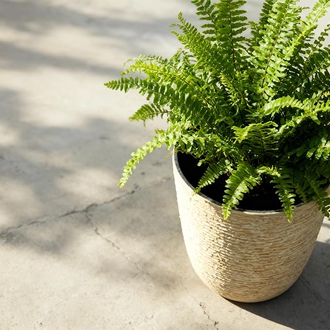 Worth 9 Gallon Tall Round Planters Set of 2-14" Dia x 21" H Stone Finish Flower Pots Indoor Decorative Container Garden Patio Unbreakable Beige
