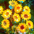 Brightown Outdoor Solar Garden Lights - 4 Pack LED Flower Lights with Larger Sunflowers, Bigger Solar Panel, Waterproof for Outside Yard Patio Garden Decorations