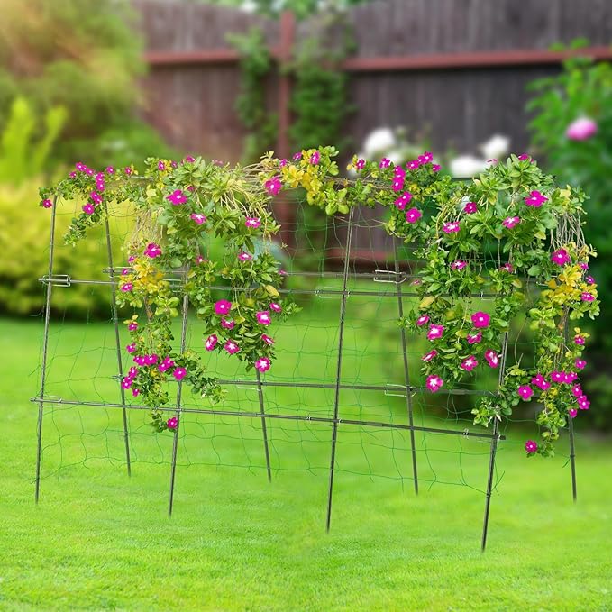 Lalahoni Cucumber Trellis, 65x48 inch Garden Trellis for Climbing Plants Outdoor, Metal Garden Arch Climbing Plant Support Vegetables Peas Beans Squash Cucumber Trellis for Raised Bed, Green
