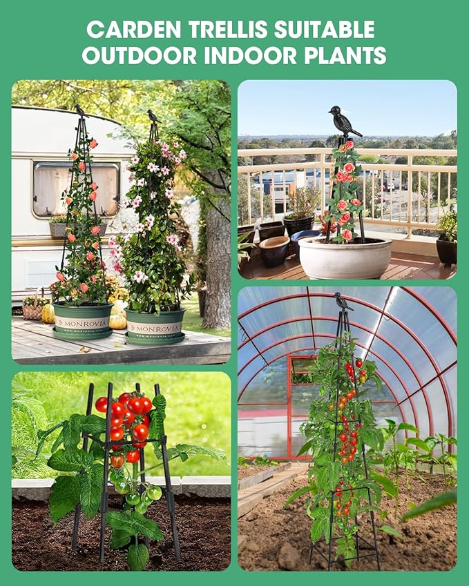 2Pack Garden Trellis for Climbing Plants Outdoor Indoor Pot 67'' Cucumber Trellis for Climbing Plant Support for Climbing Vegetables Plants Garden Obelisk Trellis Tomato cage & Climbing Rose