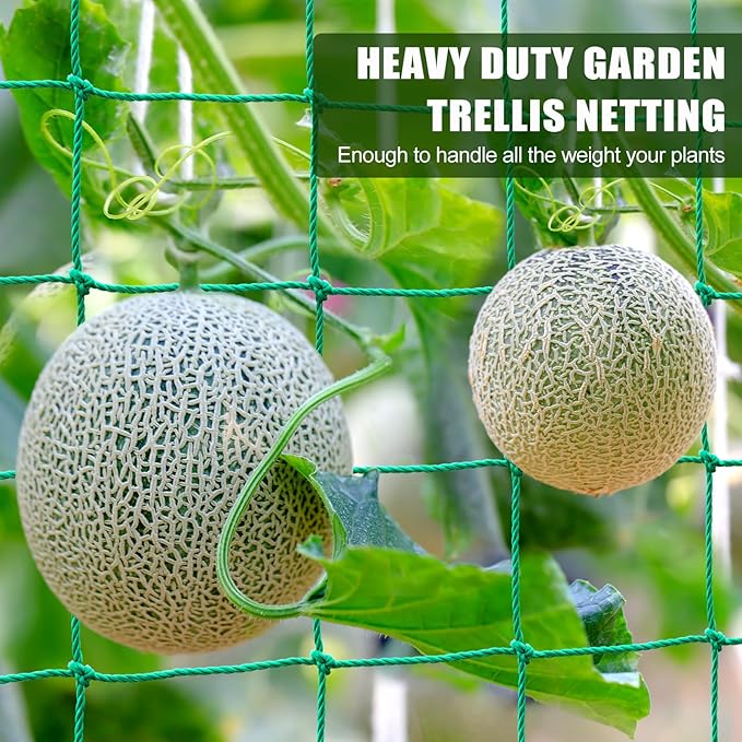 Trellis Netting, Heavy Duty Garden Trellis Netting for Climbing Plants Outdoor w/Plant Clips, 6.6x9.85 Ft Plant Netting for Cucumber, Tomato, 27 Strands & 4x4 in Mesh, Grow Net for Fruits, Vegetables