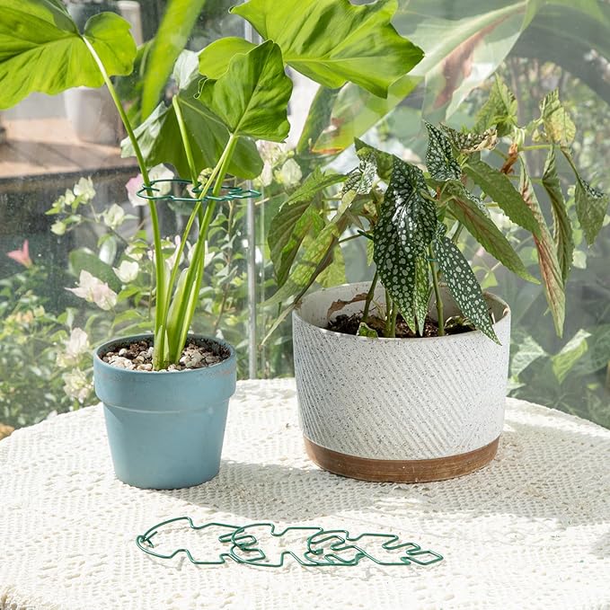 Monstera Plant Stem Support - 4.13 x 2.95 Inches 5 Pack Durable Leaf Holder for Climbing Plants, Ideal for Monstera & Vining Plants, Elegant Design for Plant Lovers