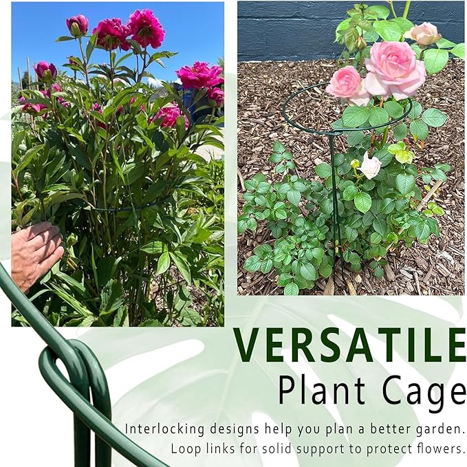 6 Pack Detachable & Assemblable Metal Plant Support Stakes - Garden Support Ring, Tomato Seedling Cage, Young Monstera/Pothos for Growing Indoor/Outdoor (10" W x 16" H)