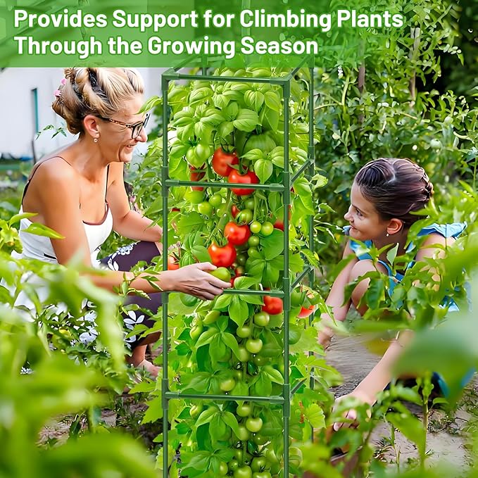 Legigo 2 Pack Square Tomato Cages for Garden- Up to 60 Inch Tomato Plant Support Stakes Cage, Heavy Duty Steel Tomato Trellis Garden Stakes for Raised Garden Bed Climbing Vegetables Cucumbers Flowers