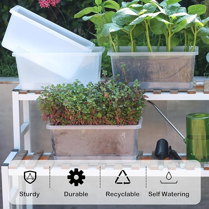 Window Box Planter 6 Packs, 13.8 Inches Rectangle Flower Pots with Drainage Holes & Trays, Pots for Vegetables, Herbs, Flowers, Garden Windowsill Balcony (Translucent White)