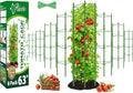 Riare 8 Pack 5.2 FT Tomato Cages for Garden- 63inches Heavy Duty Tomato Stakes and Supports, Adjustable Tall Tomato Plant Support Trellis for Pots, Raised Garden Bed, Climbing Vegetables Plants