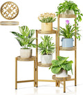 6 Tiered Plant Stand Indoor for Multiple Large Planter, Tall Heavy Duty Adjustable Folding Rack with Rustproof 7.9 Inch Wide Tray, Plant Shelf for Corner Living Room - GoldWave