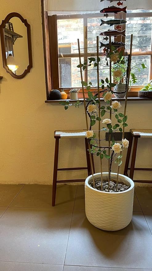 Natural Bamboo Trellis, 3Feet,3Pack,Fan-Shaped Plant Support Trellis for Outdoor and Indoor Potted Climbing Plants,Vegetables, Cucumber, Tomato, Hoya,
