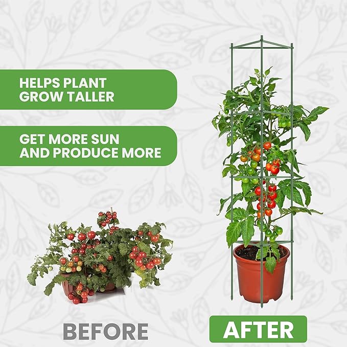 K-Brands Tomato Cage – Premium Tomato Plant Stakes Support Cages Trellis for Garden and Pots (Upto 68 Inches Tall)