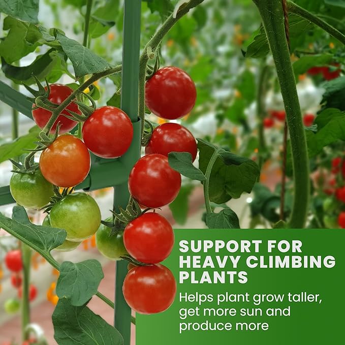 Tomato Cage Square - Large Trellis Stakes and Plant Support Structures for Vegetables and Climbing Plants - Tall Tomato Cages for Garden, Pots, Raised Garden Bed Outdoor Supplies (1 Pack - Up to 58")