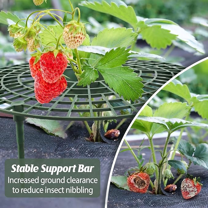 4 Sets Strawberry Plant Support with Mesh Plant Cover,Strawberry Growing Racks Sets with Iron Plant Nails and Storage Bag for Garden Strawberry Vegetables(White Net - Round)
