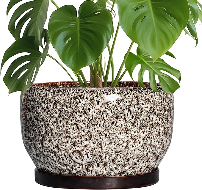 SQOWL Ceramic Plant Pots - 10 Inch Planter for Indoor Plants Outdoor, Large Flower Pots with Drainage Hole and Saucer, Decorative Round Planter, Apartment Decor, Garden Gifts for Women, White