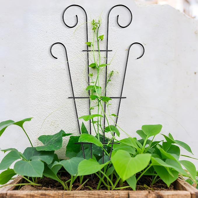 4 Pack 43'' Indoor Plant Trellis for Potted Plants Climbing, Outdoor Metal Garden Trellis Houseplants Flowers Vine Ivy, Wave Shape, Black