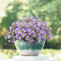 12 Bundles Artificial Pansy Flowers for Outdoor, Faux Silk Pansies Spring Flowers Outside for Planter Front Door Porch Patio Yard Window Box Home Decor (White Purple)