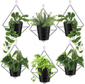 Baderke 6 Sets Wall Planters for Indoor Plants Hanging Wall Planter with Metal Holder Geometric Self Watering Wall Pots Mounted Succulent Pots, 5" Black Plant Container