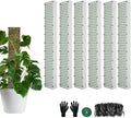 60"/40"/24" Metal Moss Pole, D Shape Sphagnum Moss Pole, Moss Poles for Climbing Plants, Monstera, Indoor Climbing Plants (4Pcs 24")