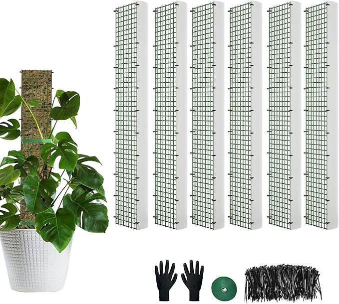 60"/40"/24" Metal Moss Pole, D Shape Sphagnum Moss Pole, Moss Poles for Climbing Plants, Monstera, Indoor Climbing Plants (4Pcs 24")