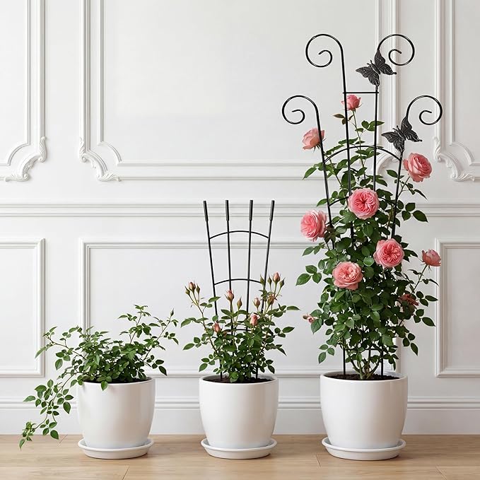 30'' Larger Plant Trellis with Ties Indoor, Expandable Metal Trellis for Climbing Plants Indoor, House Plant Climbing Support for Flowers Vine Ivy Monstera Hoya Pothos, 2P