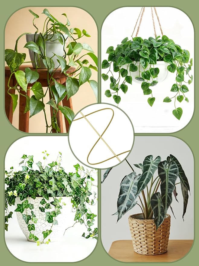 4 Pack Small Wavy Trellis for Potted Plants Indoor, 15 in Garden Trellises for Climbing Plants Outdoor, Single Stick Metal Climber Support Stakes for Vine Ivy Hoya Flower (Golden)