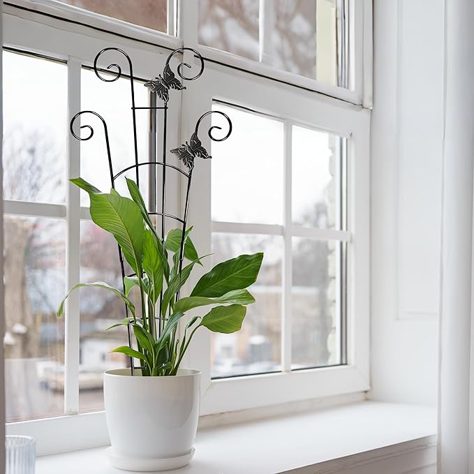 COOMIN 30'' Monstera Plant Support Outdoor, Metal Expandable Plant Supports for Indoor Plants, 4P Garden Trellis for Climbing Plants Indoor - Ivy, Pothos, Philodendron, Hoya