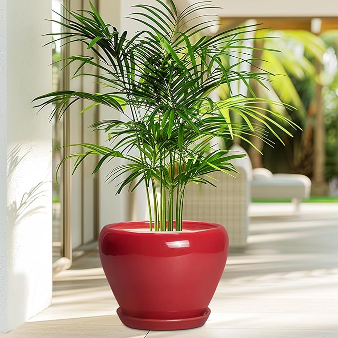 Ceramic Planter for Indoor Plants 8 Inch - Ceramic Plant Pot with Drainage Hole and Saucer, Glaze Round Decorative Modern Flower Pot, Housewarming Gift, Home Room Office Decor, Red