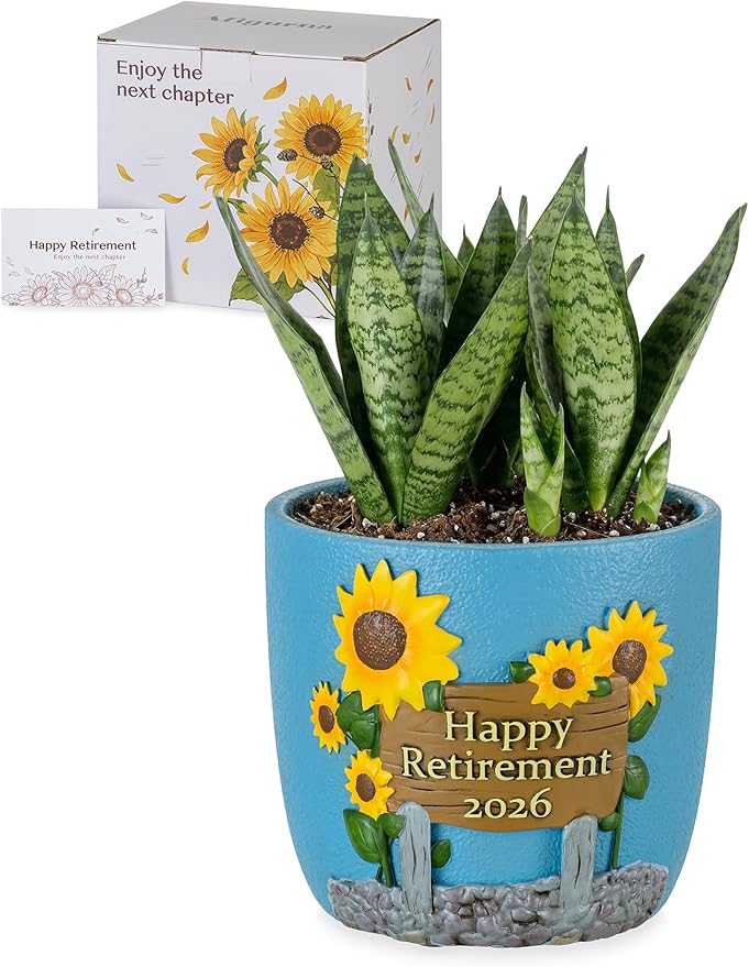 Retirement Gifts for Woman 2026: Happy Retirement Gifts for Women Nurse Teacher Coworker - Unique Retired Garden Gifts for Decoration - Hand-Painted Plant Pot Present with Gift Box and Card
