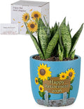 Retirement Gifts for Woman 2026: Happy Retirement Gifts for Women Nurse Teacher Coworker - Unique Retired Garden Gifts for Decoration - Hand-Painted Plant Pot Present with Gift Box and Card