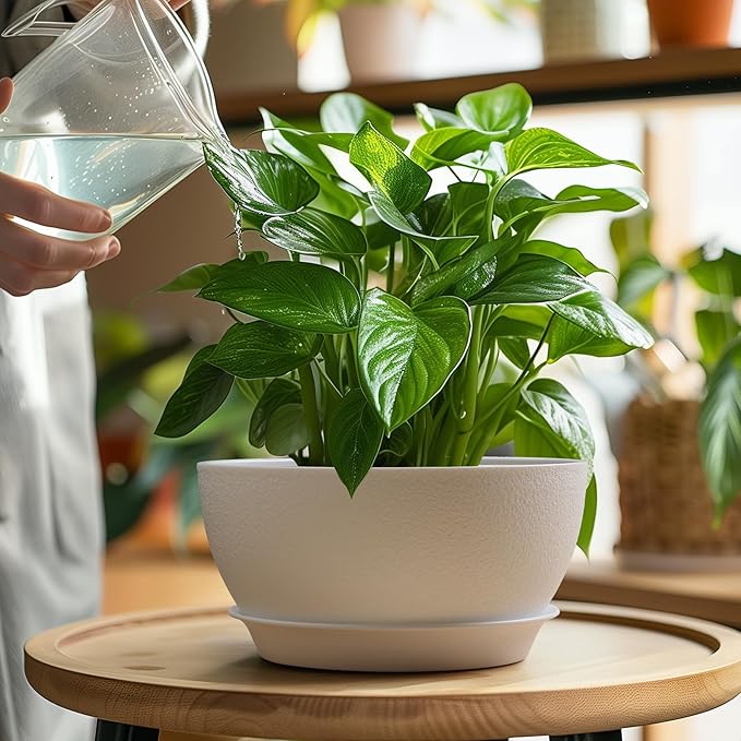T4U 8 Inch Plant Pots, Plastic Planters with Drainage Holes, Plugs, and Saucers, Ideal for Indoor and Outdoor Use - 2 Pack, White