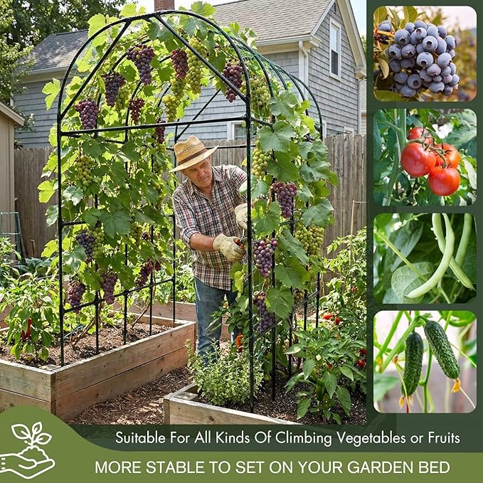 Garden Trellis Arch 7FT Tall – Plastic Coated Metal Arch Trellis for Climbing Plants Outdoor, Weather-Resistant Steel Garden Arch for Vegetables Cucumber Tomato, Raised Bed Trellis