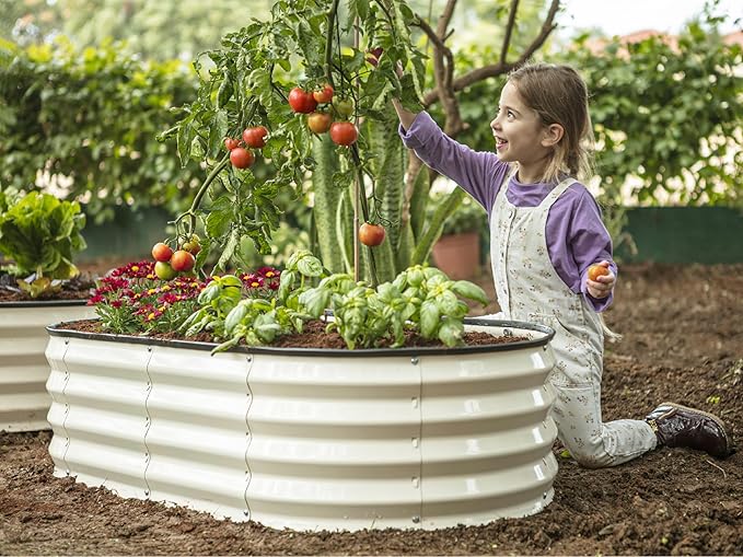 Plant & Plot Galvanized Raised Garden Beds Outdoor // 4×2×1 ft Planter Raised Beds for Gardening, Vegetables, Flowers // Large Metal Garden Box (White) // Patented Tool-Free Design