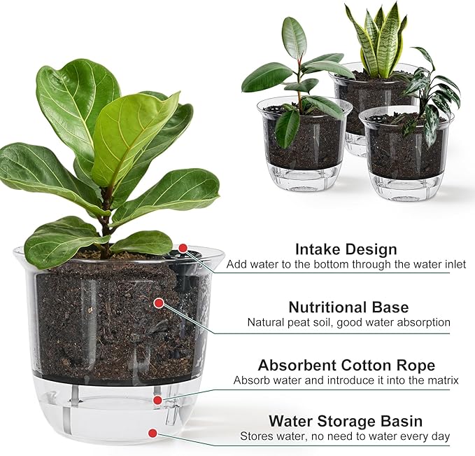 Self Watering Pots, 3 Pack 6.5/5/4 Inch Clear Plant Pot Self Watering Planter Flowers Pot with Deep Reservoir for Indoor Plants (3 Medium)